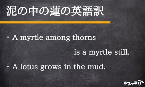 myrtleの意味 .